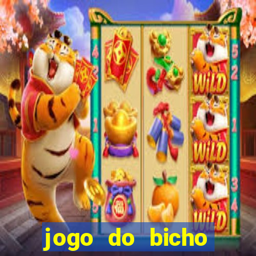 jogo do bicho tipos de apostas